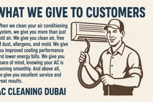 What We Truly Give You — Beyond Just Clean Air